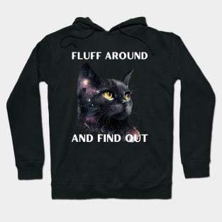 Fluff around and find out Hoodie